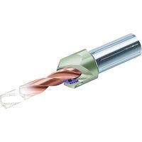 ワルタージャパン Walter 面取り工具 D4580.45-14.00A19-VC09 1本 412-1966（直送品）