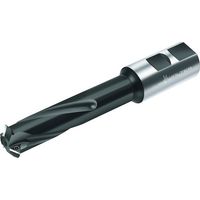 ワルタージャパン Walter チップ式ねじ切りカッター T2712-19-W20-3-06 1個 411-4306（直送品）