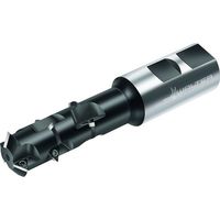 ワルタージャパン Walter チップ式ねじ切りカッター T2711 T2711.20-W19-3-06-2-25.4 1個（直送品）