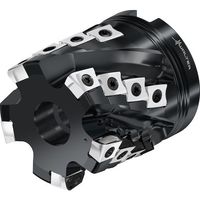 ワルタージャパン Walter ポーキュパインカッター M3255.064-B26-06-46 1個 413-3242（直送品）