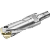 ワルタージャパン Walter チップ交換式ドリル D4140 D4140-01-20.00T22-E 1本 411-2969（直送品）