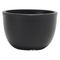 ventes BowlMid Size2 4595057072019 1個（直送品）