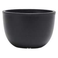 ventes BowlMid Size4 4595057072071 1個（直送品）