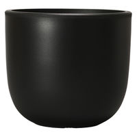 ventes BowlLong Size7 4595057072118 1個（直送品）