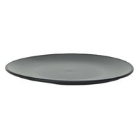 ventes PlasticPlate 100 4595057072200 1枚（直送品）