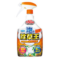 フマキラー 泡の除草王 1000ml 4902424453553 1本（直送品）