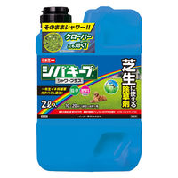 レインボー薬品 シバキープシャワープラス 2L 4903471102838 1本（直送品）