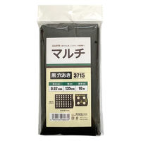 welzo 穴あきマルチ 玉ねぎ用(ほうれん草、ニンジン、小松菜等)135cm×10m 4933136980839 1パック（直送品）