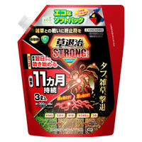 KINCHO園芸 草退治ストロングシャワー 3L 4975292605096 1本（直送品）