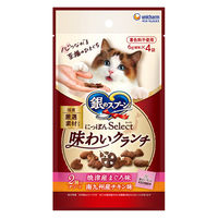 銀のスプーン にっぽんセレクト 味わいクランチ 2種のアソート まぐろ&チキン味 国産 24g（6g×4袋）1個  猫用 おやつ