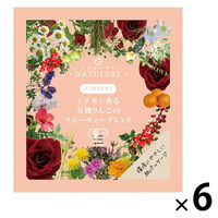 nagomi-NATULURE  シナモン香る有機りんごのフルーティーブレンド 1セット(1袋×6)