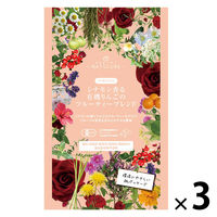 nagomi-NATULURE  シナモン香る有機りんごのフルーティーブレンド 1セット(12バッグ入×3)