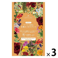 nagomi-NATULURE スパイス香る有機ルイボスチャイ 1セット(7バッグ入×3)