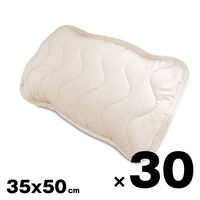 枕パッド ピロパッド 抗菌 防ダニ 防臭 ピーチスキン 睡眠 ソフトタッチ 洗える 寝室 枕 カバー 柔らかい 装着 簡単 カバー（直送品）