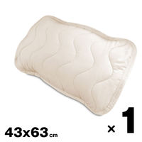 枕パッド ピロパッド 抗菌 防ダニ 防臭 ピーチスキン 睡眠 ソフトタッチ 洗える 寝室 枕 カバー 柔らかい 装着 簡単 カバー（直送品）