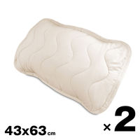 枕パッド ピロパッド 抗菌 防ダニ 防臭 ピーチスキン 睡眠 ソフトタッチ 洗える 寝室 枕 カバー 柔らかい 装着 簡単 カバー（直送品）