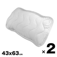 枕パッド ピロパッド 抗菌 防ダニ 防臭 ピーチスキン 睡眠 ソフトタッチ 洗える 寝室 枕 カバー 柔らかい 装着 簡単 カバー（直送品）