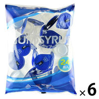 ジーエスフード GS ガムシロップポーション 1セット(24個入×6)