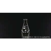 HARIO 三角フラスコ 500mL S75-1028-05 1個 60-5942-93（直送品）