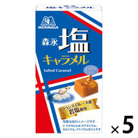 キャラメル 個包装 お配り菓子 塩キャラメル 12粒 1セット（1個×5）