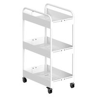 ディーエーピーネットワーク 幅18.5~27cm調整 ワイドチェンジストッカー(3段)ホワイト monowa080-wh 1台（直送品）