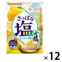 暑さ対策 塩分補給 塩分対策  さっぱり塩飴 塩レモン味 64g 1セット（1個×12）