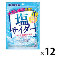 暑さ対策 塩分補給 塩分対策  塩サイダー 66g 1セット（1個×12）