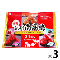 暑さ対策 塩分チャージ 紀州南高梅 アソートセレクション 24個入 1セット（1個×3）