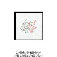 大黒工業 大黒 シースル掛紙