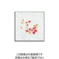 大黒工業 大黒 シースル掛紙 No.29 (紅葉) 97829 1組(100枚) 236-3455（直送品）