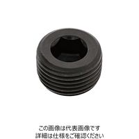 SUNCO プラグ(沈み カクマル PT 1/8 (200本入) A0-00-571K-8010-0000-00 1箱(200本)（直送品）