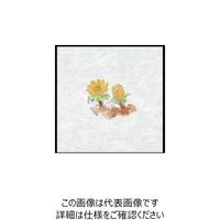 单H 单 V[X| No.14 () 97970 1g(100) 236-6637iij