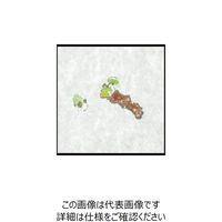 大黒工業 大黒 シースル掛紙 No.13 (わさび) 97960 1組(100枚) 236-1920（直送品）