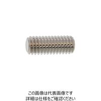 SUNCO ステンHS(HOEI 平先 6×12 (500本入) A0-02-501H-0060-0120-00 1箱(500本)（直送品）