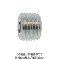 SUNCO DRYシール プラグ(沈み PT 1/4 (80本入) A0-00-5710-8020-0000-72 1箱(80本)（直送品）