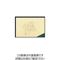 大黒工業 大黒 テーブルマット #808 草 220808 1組(100枚) 235-2260（直送品）