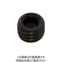 SUNCO ロックネジ（1シュ #5 M5X0.8X4 （100本入） A0-00-5900-0050-0000-00 241-6641（直送品）