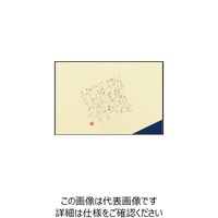 大黒工業 大黒 テーブルマット #807 紺 220807 1組(100枚) 237-1100（直送品）