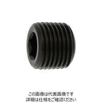 SUNCO プラグ(浮き カクマル PT 1/8 (200本入) A0-00-570K-8010-0000-00 1箱(200本)（直送品）