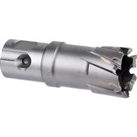 ミヤナガ 磁気ボール盤カッター デルタゴンメタルボーラー250A φ20 DLMB25A20 1本 246-1616（直送品）