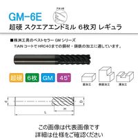 株洲ダイヤモンド切削工具 超硬 スクエアエンドミル 6枚刃 レギュラ GM-6E-D10.0 1セット（2本）（直送品）