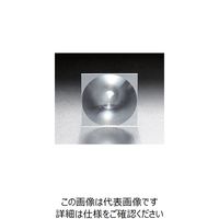 シグマ光機 フレネルレンズ 焦点距離10mm FRL-50S-10P 1個 61-6949-43（直送品）