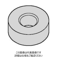 WIDIA 旋削用インサート(4171881) RNMA120400 WK20CT 1セット(10個)（直送品）