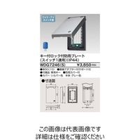 東芝ライテック ワイドアイ配線器具 WDG7246(S) 1個（直送品）