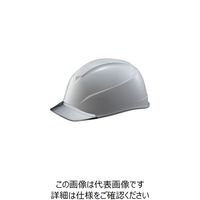 タニザワ エアライトS搭載ヘルメット(透明バイザータイプ・溝付) 透明バイザー:グレー/帽体色:グレー 123-JZV-V2-GR5-J 1個（直送品）