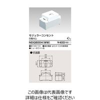 東芝ライテック E’s配線器具 NDG8004(WW) 1個（直送品）