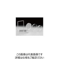 アズワン 平凸レンズ φ100mm 焦点距離:1000mm バックフォーカス アズワン 平凸レンズ φ100mm 焦点距離:1000mm バックフォーカス