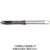HSSーE スパイラルポイントタップ (M14X2) DIN376 精度6H(5368557) VTSPO6533 WU41EG 1本（直送品）