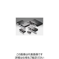 シグマ光機 X軸ロングスチールステージ サイズ100×160mm 移動量±25mm TSDー10161S 1個 61-6968-67（直送品）