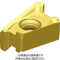 WIDIA ショルダーミル VSM490ー10用インサート(6425370) XNGU100408ERML WS40PM 1セット(10個)（直送品）